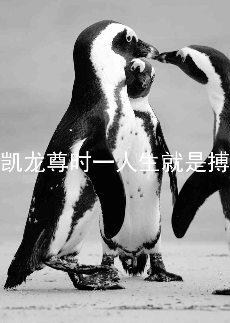 凱龍尊時(shí)一人生就是搏