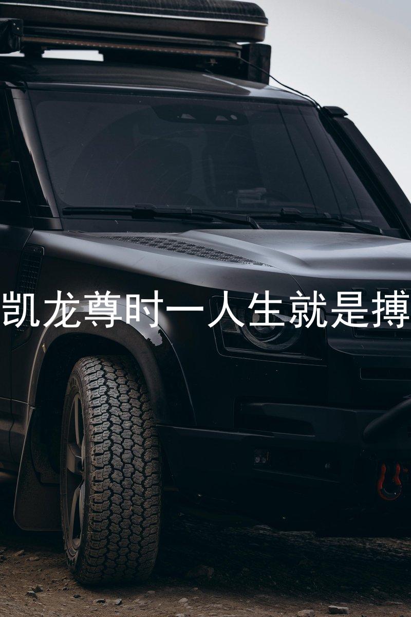 凱龍尊時(shí)一人生就是搏
