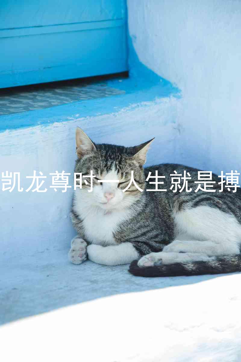 凱龍尊時(shí)一人生就是搏