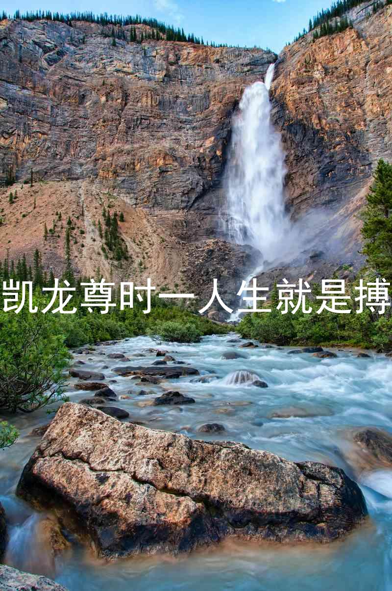 凱龍尊時(shí)一人生就是搏